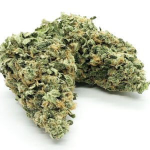 maui-wowie-strain-sativa-dominant-hybrid-wholesale