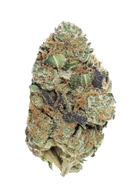 Animal Cookies Strain