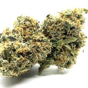 Blue Magoo 9 Strain Flower