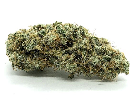 Citrus Skunk Strain Flower – Sativa Dominant Hybrid