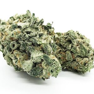 9 Pound Hammer Strain – Indica Dominant Hybrid (Wholesale)
