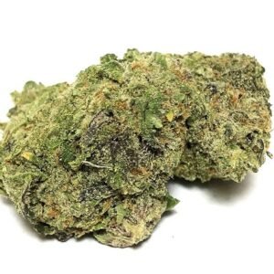 grape-god-strain-sativa-dominant-hybrid-wholesale