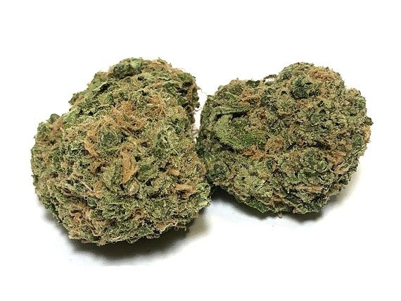 Holy Grail Strain – Hybrid (Wholesale)
