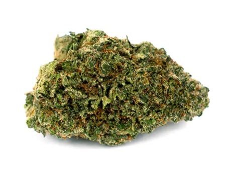 Lodi Dodi Strain – Sativa Dominant Hybrid (Wholesale)