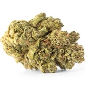 Durban Poison Strain – Sativa (Wholesale)