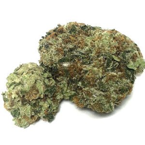 Lemon Sorbet Strain (5 Star) – Indica Dominant Hybrid (Wholesale)