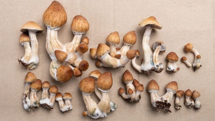 B+ Mushrooms