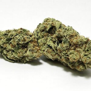 Nepali Temples Strain Flower (5 Star) – Hybrid