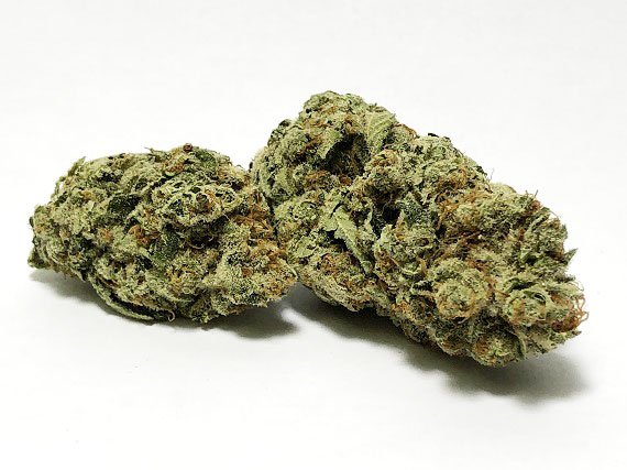 Nepali Temples Strain Flower (5 Star) – Hybrid