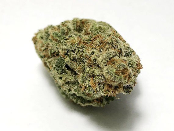 Raspberry Hashplant Strain (5 Star) – Indica Dominant Hybrid (Wholesale)