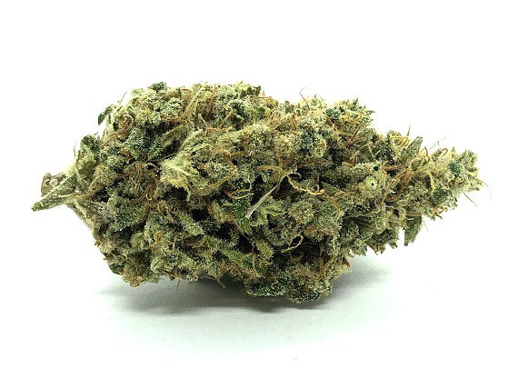 Silver Haze Strain Flower – Sativa Dominant Hybrid