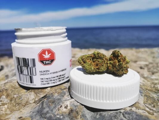 Super Nuken Strain