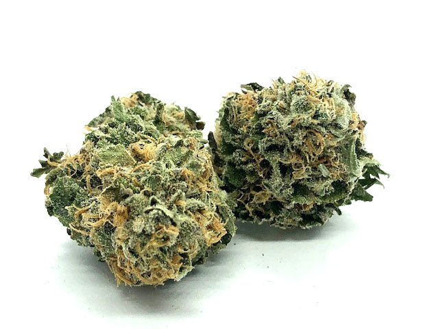 Testa Rossa Strain Flower – Indica Dominant Hybrid