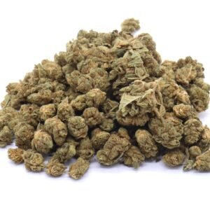 Dutch Treat Strain Small Buds – Indica Dominant Hybrid