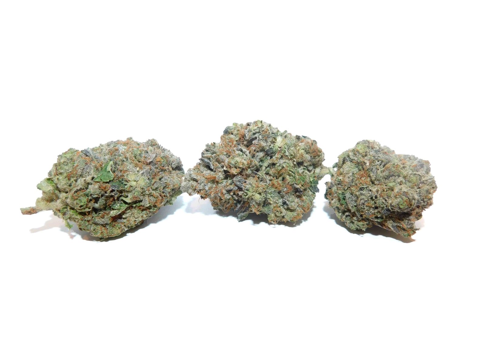 El Jefe Strain Flower – Indica