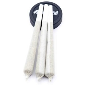 girl-scout-cookies-strain-aa-pre-rolls-indica-dominant-hybrid-1-4-grams