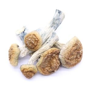 gold-member-mushrooms