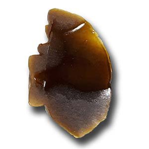 Purple Kush Strain Shatter – Indica (Wholesale)