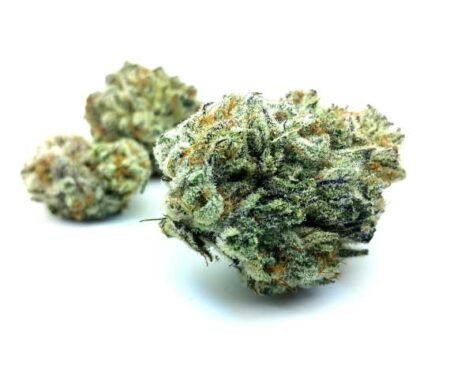 Green Crack Strain – Sativa Dominant Hybrid (Wholesale)