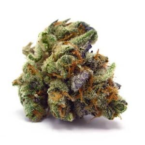 Kosher Kush Strain – Indica (Wholesale)