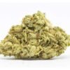 Mango Dream Strain – Hybrid (Wholesale)