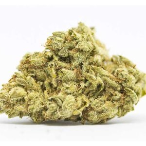 Mango Dream Strain – Hybrid (Wholesale)