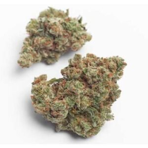Mendo Breath Strain – Indica Dominant Hybrid (Wholesale)