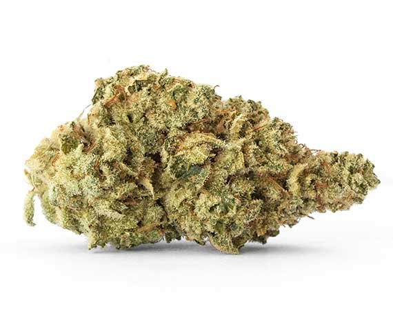 Pineapple Cookies Strain – Indica Dominant Hybrid (Wholesale)