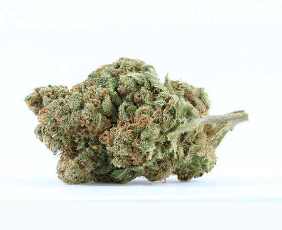 Skywalker OG Strain – Indica Dominant Hybrid (Wholesale)