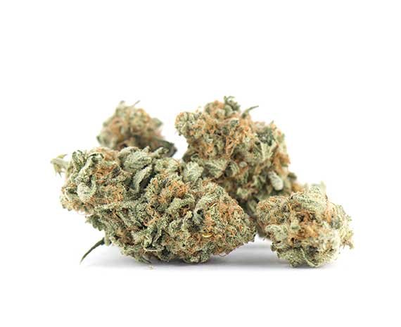 Strawberry Cough Strain – Sativa Dominant Hybrid (Wholesale)