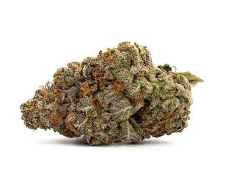 Mango Kush Strain – Indica Dominant Hybrid (Wholesale)