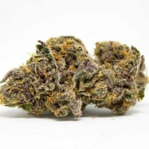 William’s Wonder Strain – Hybrid (Wholesale)
