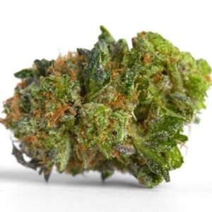 Headband Strain – Indica Dominant Hybrid (Wholesale)