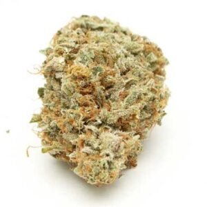 Kali Mist Strain – Sativa Dominant Hybrid (Wholesale)