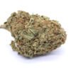 Island Maui Haze Strain Greenhouse Flower – Hybrid