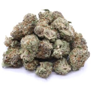 Jealousy Strain AAAA Small Buds – Hybrid