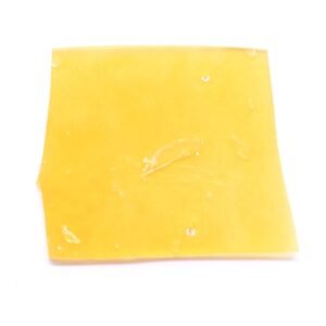 Platinum Girl Scout Cookies Strain Shatter – Hybrid