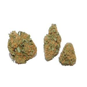 red-congolese-strain-flower-sativa
