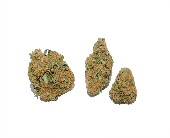 Red Congolese Strain Flower – Sativa