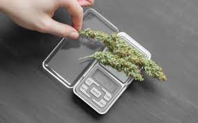 Cannabis Dosage Calculators
